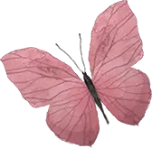 Butterfly - pink - nature - No Background PNG