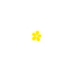 White Flower - beautiful - fresh - Free PNG
