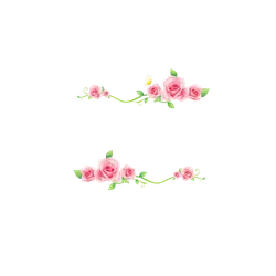 Pink Roses - rose - PNG Images