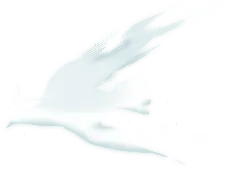 White Dove - symbol - PNG Images